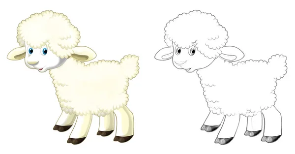 Мультфильм Счастливые Фермерские Ранчо Животные Веселые Овцы Рисунком Детей — стоковое фото