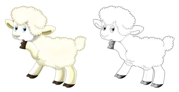 Мультфильм Счастливые Фермерские Ранчо Животные Веселые Овцы Рисунком Детей — стоковое фото