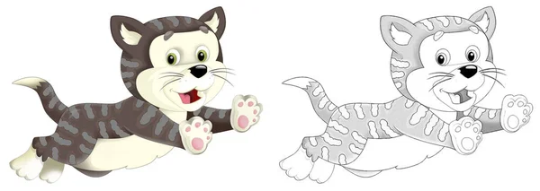 Kreskówka Śmieszne Gospodarstwo Rolne Ranczo Zwierzę Kot Szkicem Ilustracja Dla — Zdjęcie stockowe