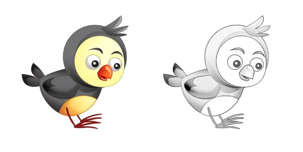 Desenhos Animados Engraçado Fazenda Animal Pássaro Com Esboço Ilustração Para — Fotografia de Stock