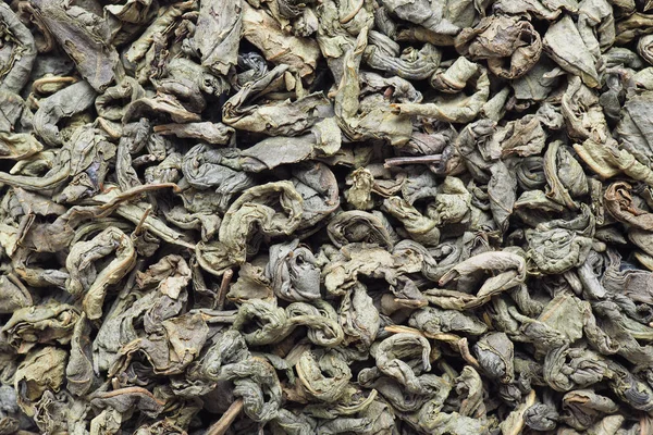 Suszona Zielona Herbata Pozostawia Bliska Fotografowane Obiektyw Makro — Zdjęcie stockowe