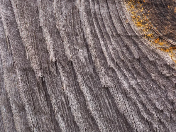 Fondo Legno Antico Con Pezzi Resina Appassita Immagine Sfondo Basso — Foto Stock