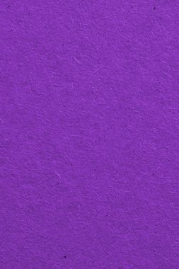 Koyu menekşe karton yüzeyi. Selüloz lifli pürüzlü kağıt dokusu. Doymuş renk. Mor dikey arkaplan ya da duvar kağıdı. Yukarıdan yukarıdan bir görüntü. Makro