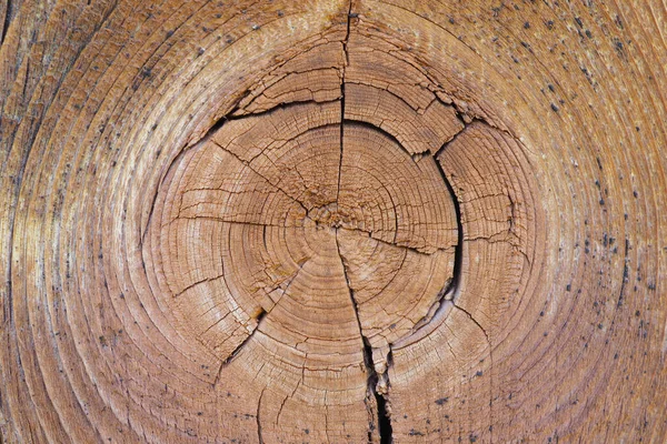 Braccio Incrinato Una Vecchia Tavola Legno Secca Intemperie Primo Piano — Foto Stock