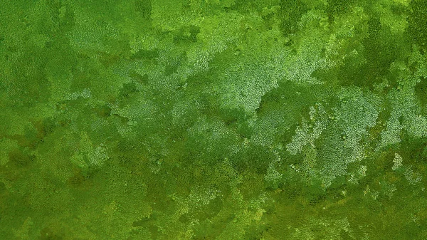 Αφηρημένο Σκούρο Πράσινο Φόντο Παγωμένος Τζάμι Παραθύρου Χειμώνα Σχέδιο Είναι — Φωτογραφία Αρχείου