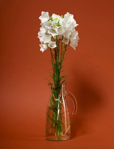 Glockenblume Einer Vase Auf Braunem Hintergrund — Stockfoto
