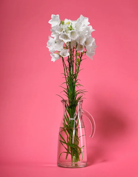 Clocher Dans Vase Sur Fond Rose — Photo