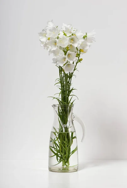 Glockenblume Einer Vase Auf Einem Tisch Der Wand Weißer Hintergrund — Stockfoto