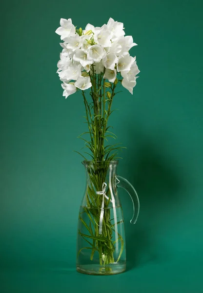 Bellflower Een Vaas Groene Achtergrond — Stockfoto