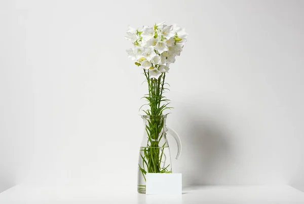 Clocher Dans Vase Sur Une Table Près Mur Feuille Blanche — Photo