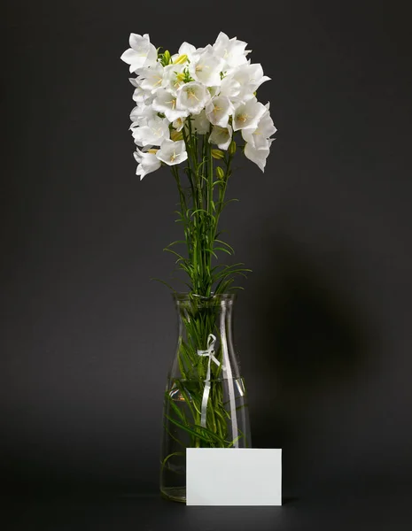 Bellflower Vase Black Background — Stock Photo, Image