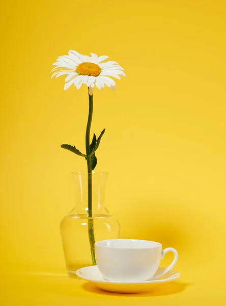 Een Kamille Bloemen Een Vaas Gele Achtergrond — Stockfoto