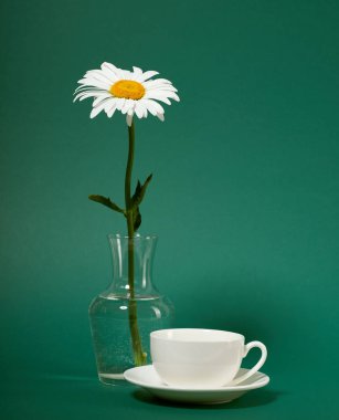 bir papatya çiçek yeşil zemin üzerine bir vazoda