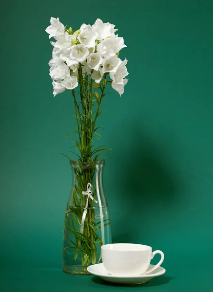 Bellflower Yeşil Zemin Üzerine Bir Vazoda — Stok fotoğraf