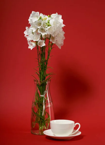 Glockenblume Einer Vase Auf Rotem Hintergrund — Stockfoto