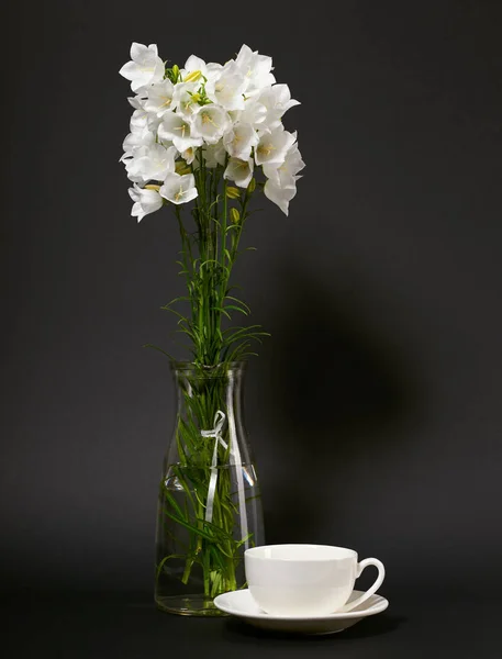 Glockenblume Einer Vase Auf Schwarzem Hintergrund — Stockfoto