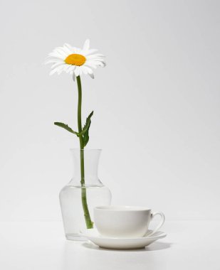 bir papatya çiçek ve bir fincan beyaz duvar arka tarafından bir masada bir vazoda