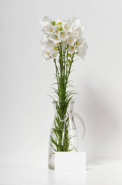 Bellflower duvar ve sayfa metin, beyaz arka planı için boş bir tabloda bir vazoda