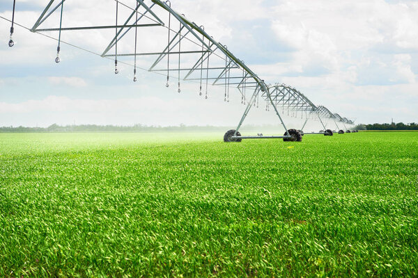irrigation machine watering agricultural field with young sprouts, green plants on black soil and beautiful sky