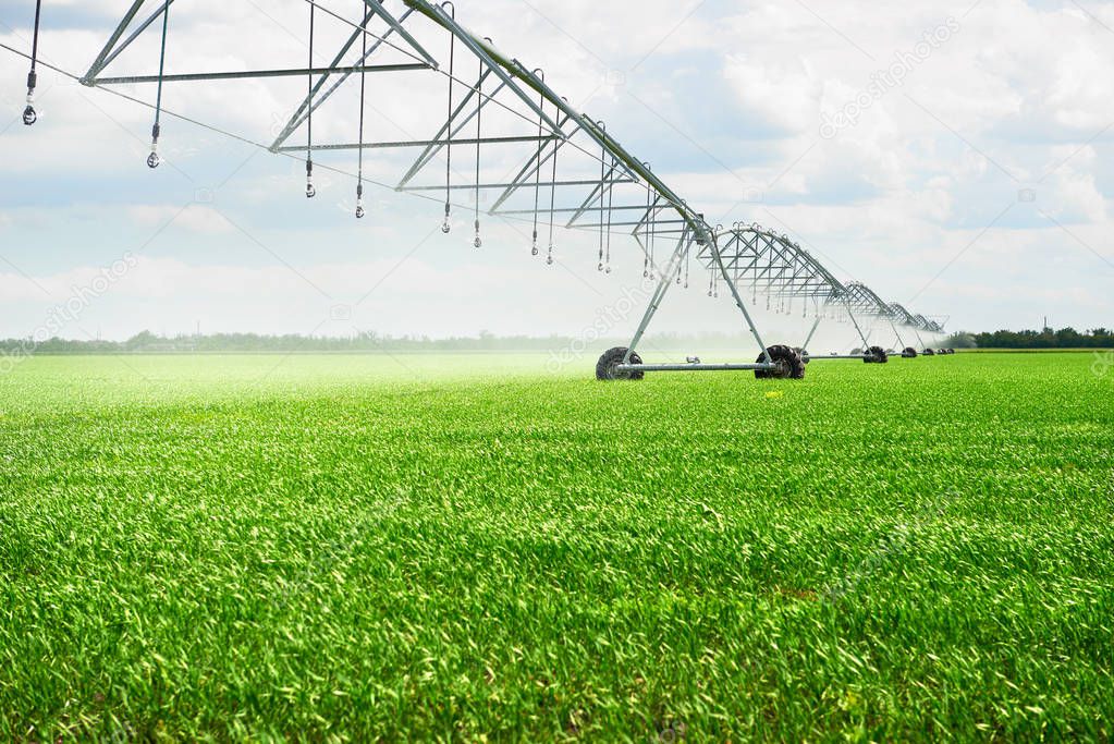 irrigation machine watering agricultural field with young sprouts, green plants on black soil and beautiful sky