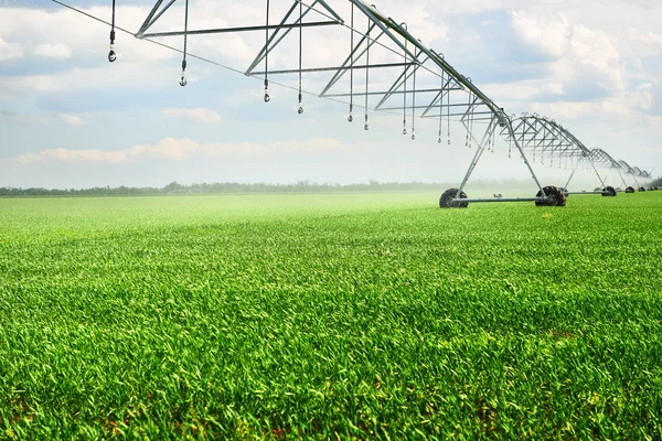 Máquina Riego Regar Campo Agrícola Con Brotes Jóvenes Plantas Verdes — Foto de Stock