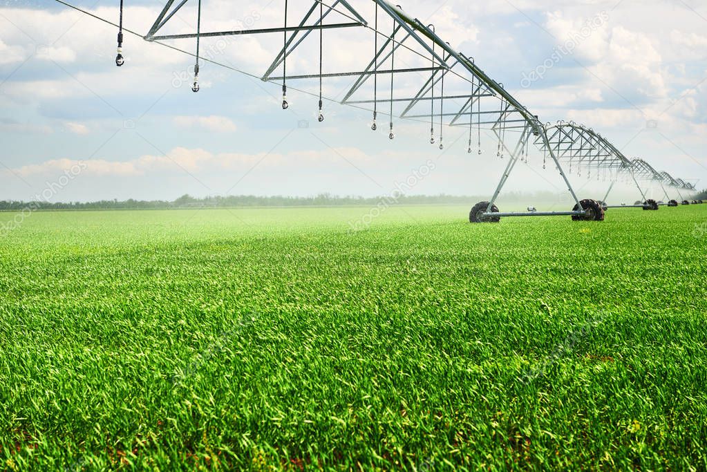 irrigation machine watering agricultural field with young sprouts, green plants on black soil and beautiful sky