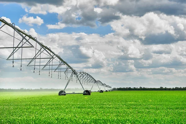 Máquina Riego Regar Campo Agrícola Con Brotes Jóvenes Plantas Verdes —  Fotos de Stock