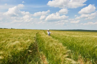 Koş buğday alan, parlak güneş, güzel yaz manzara çocuk