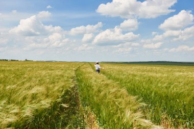 Koş buğday alan, parlak güneş, güzel yaz manzara çocuk