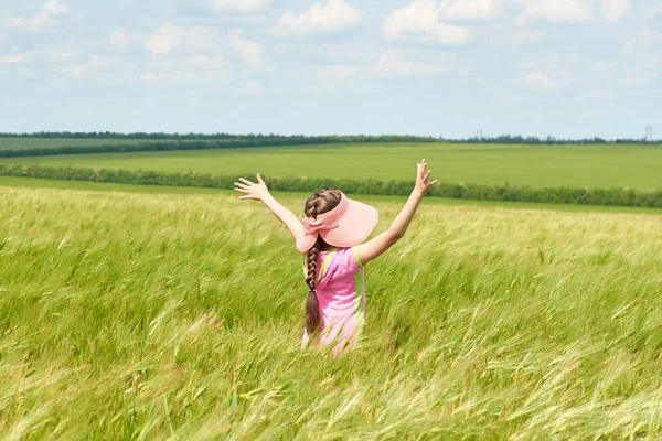 Buğday alan, parlak güneş, güzel yaz manzara ile yürüyüş çocuk
