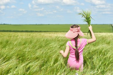 Buğday alan, parlak güneş, güzel yaz manzara ile yürüyüş çocuk