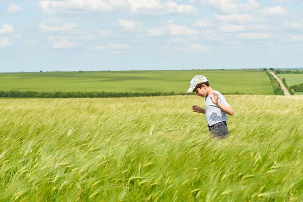 Kind Geht Durch Das Weizenfeld Strahlende Sonne Schöne Sommerlandschaft — Stockfoto