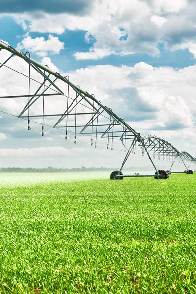 irrigation machine watering agricultural field with young sprouts, green plants on black soil and beautiful sky