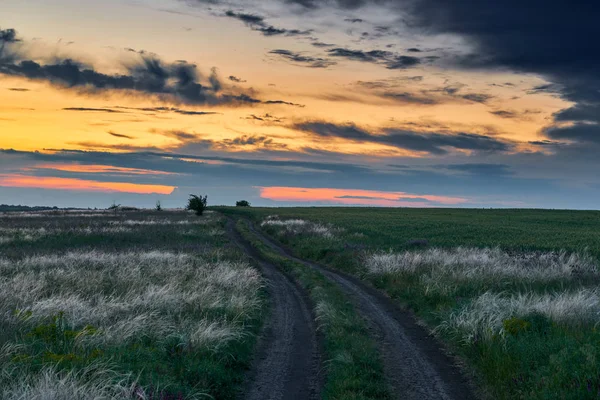 Bellissimo Tramonto Nel Campo Con Strada Sterrata Fiori Selvatici Erba — Foto Stock