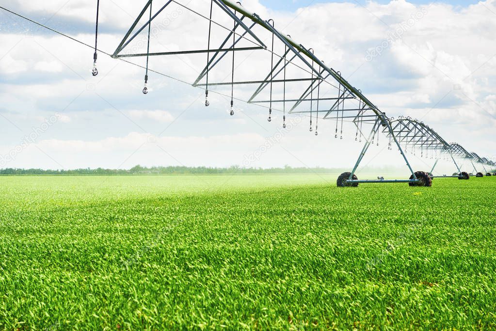 irrigation machine watering agricultural field with young sprouts, green plants on black soil and beautiful sky