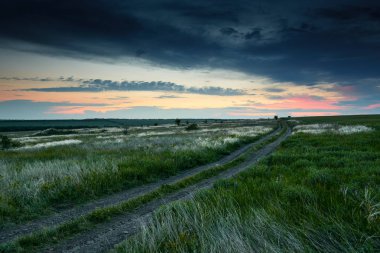 toprak yol, kır çiçekleri ve çim, güneş ışığı ve kara bulutlar güzel gün batımı alanındadır
