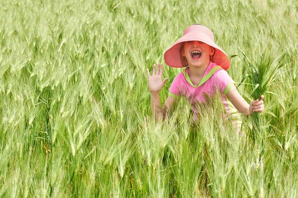Ребенок Поле Пшеницы Яркое Солнце Красивый Летний Пейзаж — стоковое фото