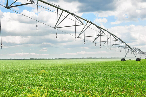 irrigation machine watering agricultural field with young sprouts, green plants on black soil and beautiful sky