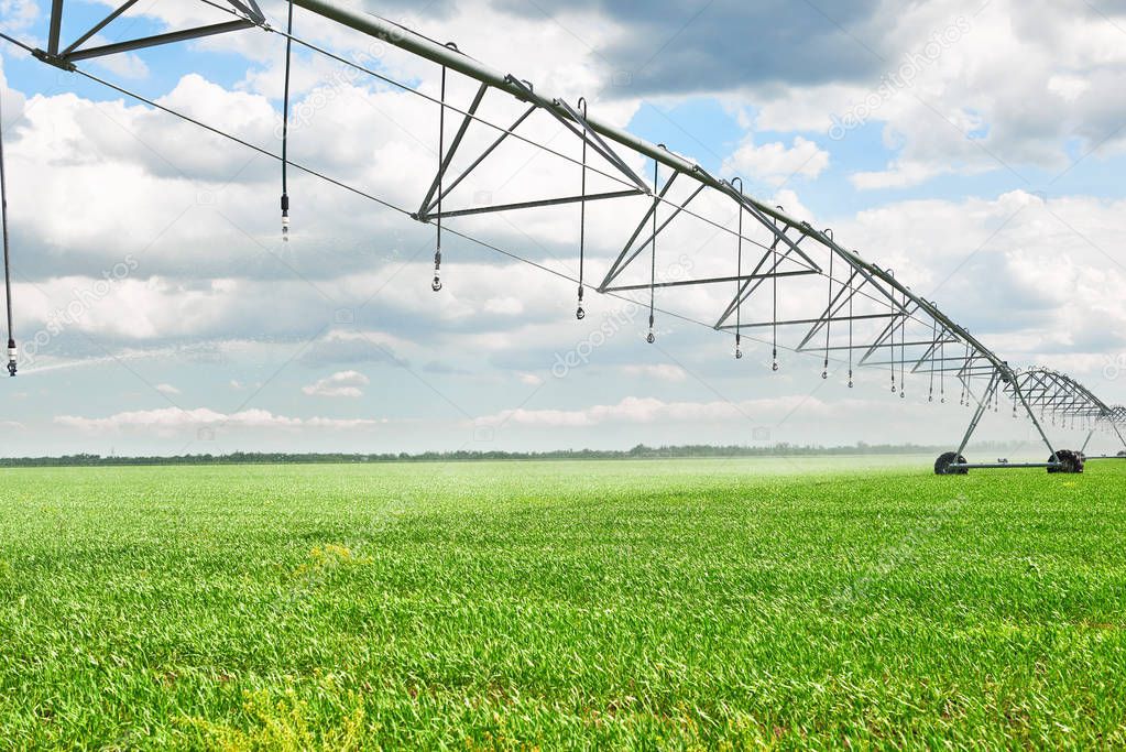 irrigation machine watering agricultural field with young sprouts, green plants on black soil and beautiful sky