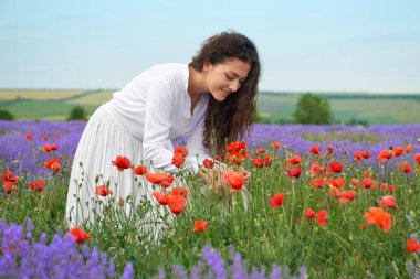 Genç kız lavanta, çiçekler, güzel yaz yatay alanındadır