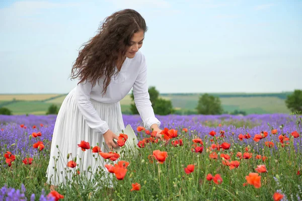 Genç kız lavanta, çiçekler, güzel yaz yatay alanındadır