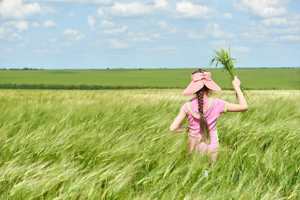 Criança Caminhando Pelo Campo Trigo Sol Brilhante Bela Paisagem Verão — Fotografia de Stock