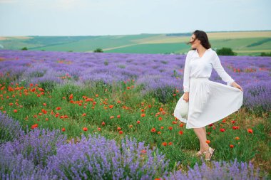 Kırmızı çiçekli haşhaş, güzel yaz manzara lavanta alanında genç kızdır