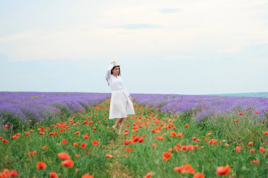 Kırmızı çiçekli haşhaş, güzel yaz manzara lavanta alanında genç kızdır