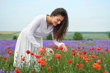 Genç kız lavanta, çiçekler, güzel yaz yatay alanındadır