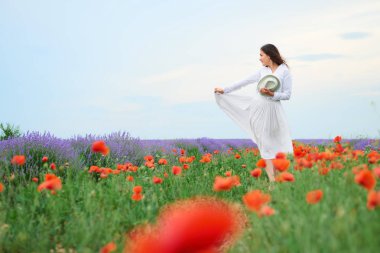 Genç kadın lavanta, güzel yaz manzara haşhaş kırmızı çiçekli alanındadır