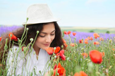 Kırmızı çiçekli haşhaş, güzel yaz manzara lavanta alanında genç kızdır