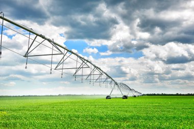 Sulama tarımsal alan genç lahanası ile siyah toprak ve güzel gökyüzü yeşil bitkiler sulama makinesi