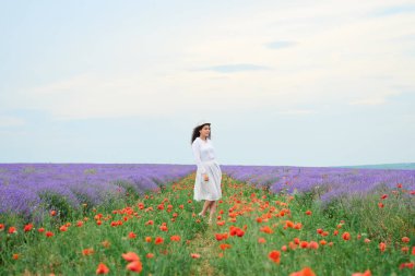 Kırmızı çiçekli haşhaş, güzel yaz manzara lavanta alanında genç kızdır