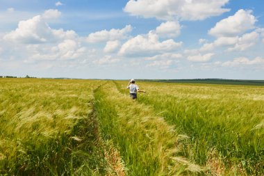 Koş buğday alan, parlak güneş, güzel yaz manzara çocuk